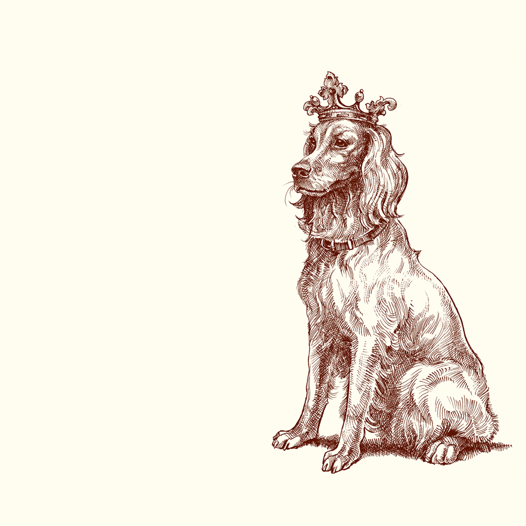 Royal Retriever A6 Notes