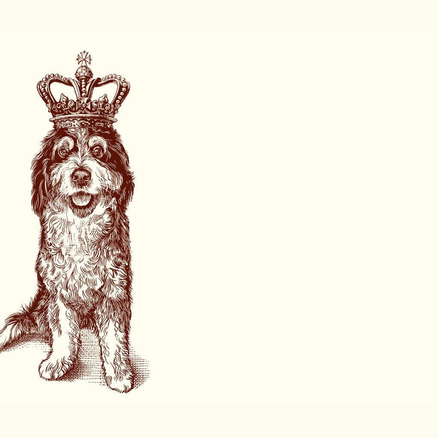 Royal Bernedoodle A6 Notes