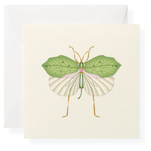 Load image into Gallery viewer, In the Garden Gift Enclosure Box
