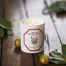 Load image into Gallery viewer, Carrière Frères Mirabelle Scented Candle
