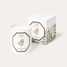 Load image into Gallery viewer, Carrière Frères Sandalwood Scented Candle
