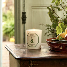 Load image into Gallery viewer, Carrière Frères Spearmint Scented Candle
