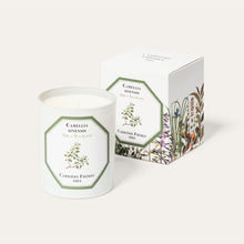 Load image into Gallery viewer, Carrière Frères Tea Plant Scented Candle

