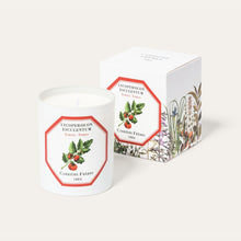 Load image into Gallery viewer, Carrière Frères Tomato Scented Candle

