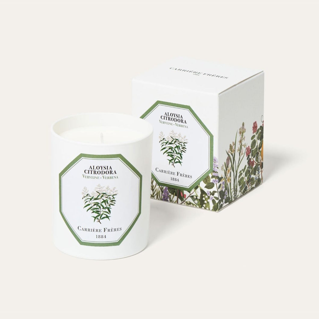 Carrière Frères Verbena Scented Candle